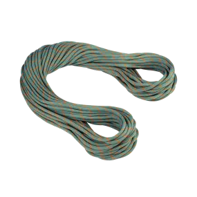 9.9 Crag Workhorse Dry Rope