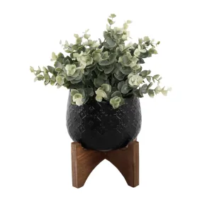 Flora Bunda Inc - Eucalyptus in 5" Matte Black Indian Ceramic Pot