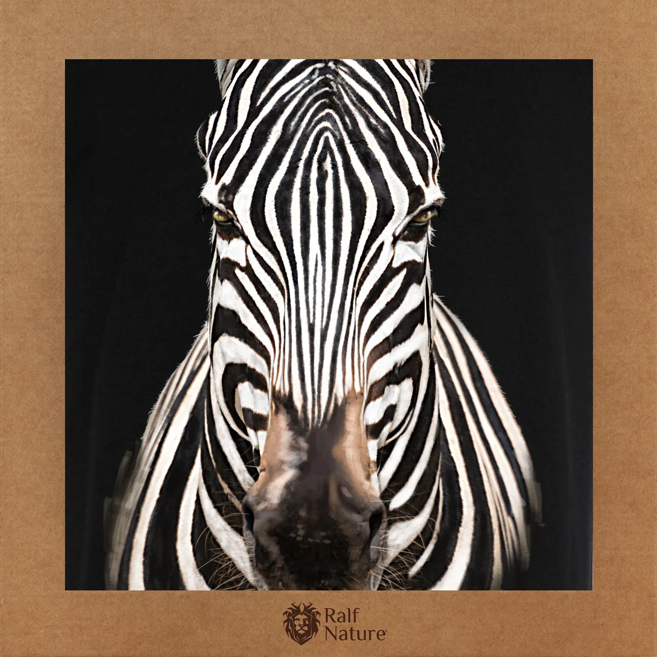 Zebra Front T-Shirt Kids